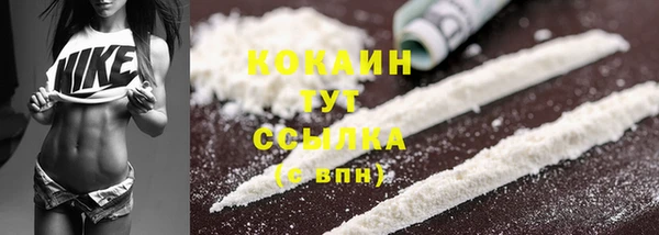 дживик Богородск