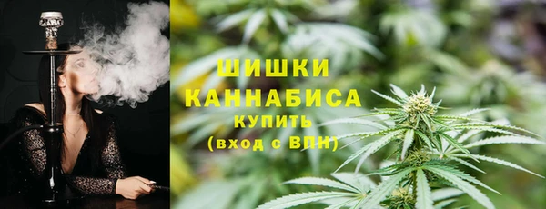 PSILOCYBIN Богданович