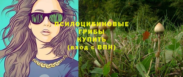 PSILOCYBIN Богданович