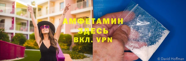 дживик Богородск