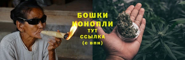 PSILOCYBIN Богданович