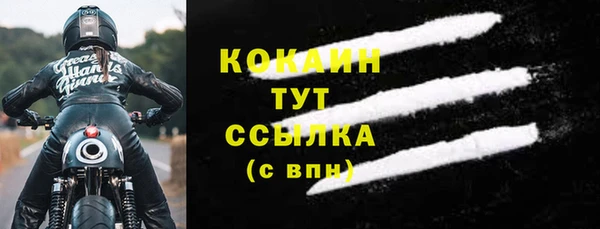 PSILOCYBIN Богданович