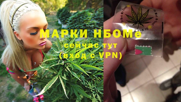 PSILOCYBIN Богданович
