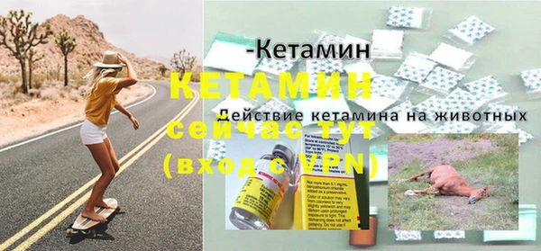 дживик Богородск