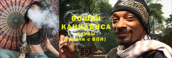 PSILOCYBIN Богданович