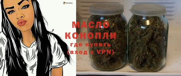 дживик Богородск