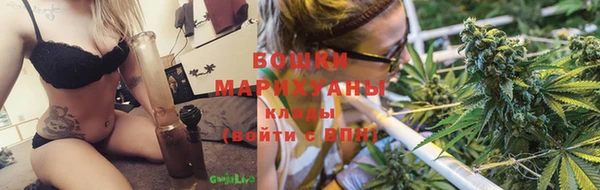 PSILOCYBIN Богданович