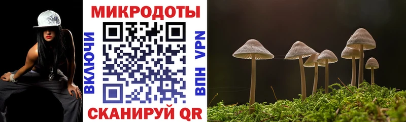 Галлюциногенные грибы Cubensis  Неман 